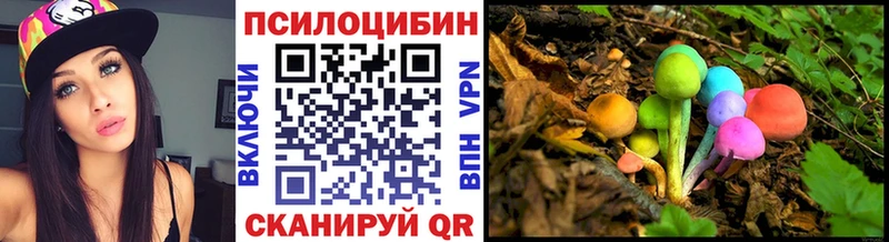 мега маркетплейс  Екатеринбург  Псилоцибиновые грибы Psilocybe  где купить наркотик 