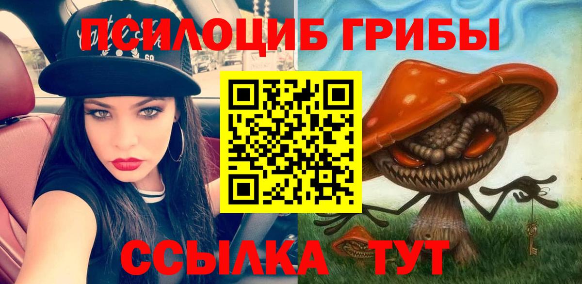Псилоцибиновые грибы прущие грибы Екатеринбург