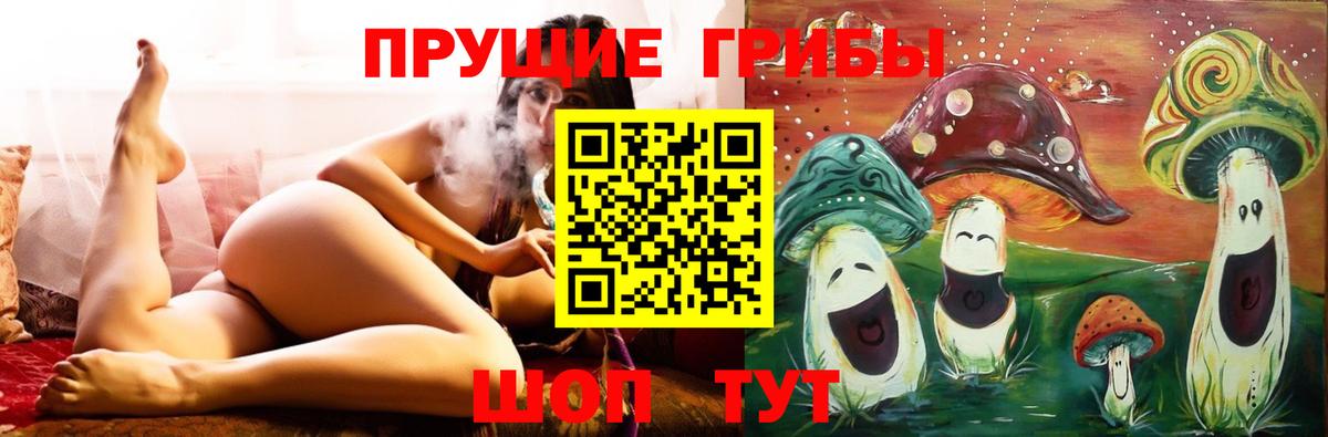 Псилоцибиновые грибы Psilocybine cubensis Екатеринбург