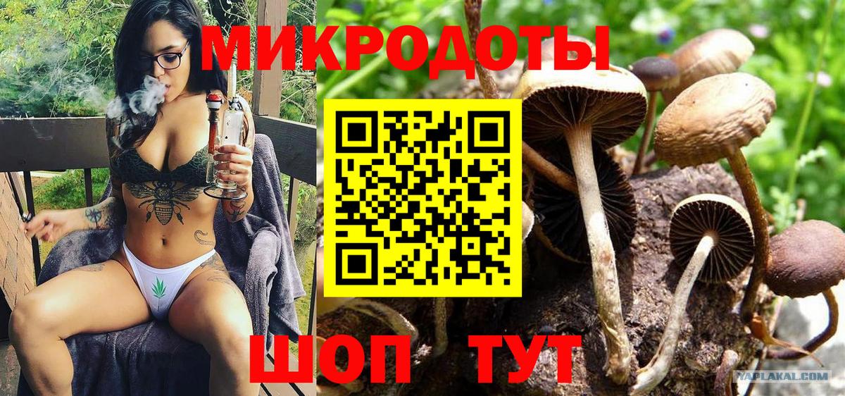 Псилоцибиновые грибы мухоморы  даркнет сайт  Екатеринбург  Вход с VPN 